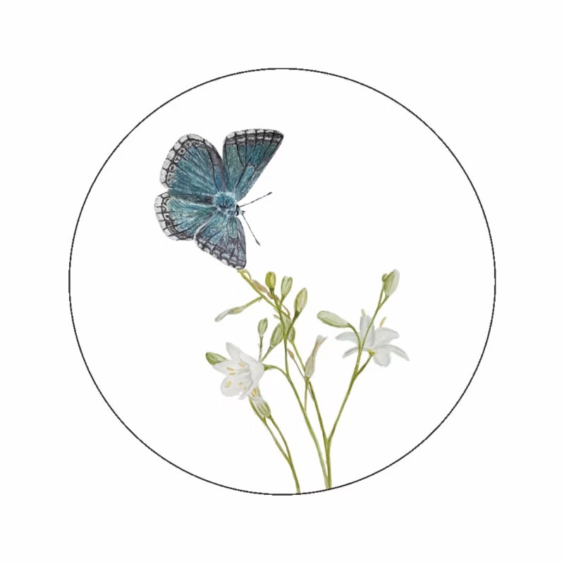 Sluitzegels Vlinder - Afbeelding 2