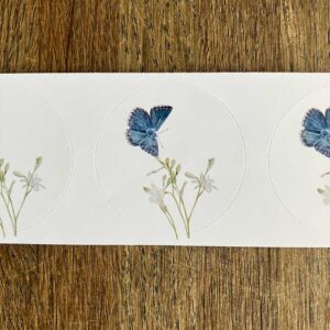 Sluitzegels Vlinder
